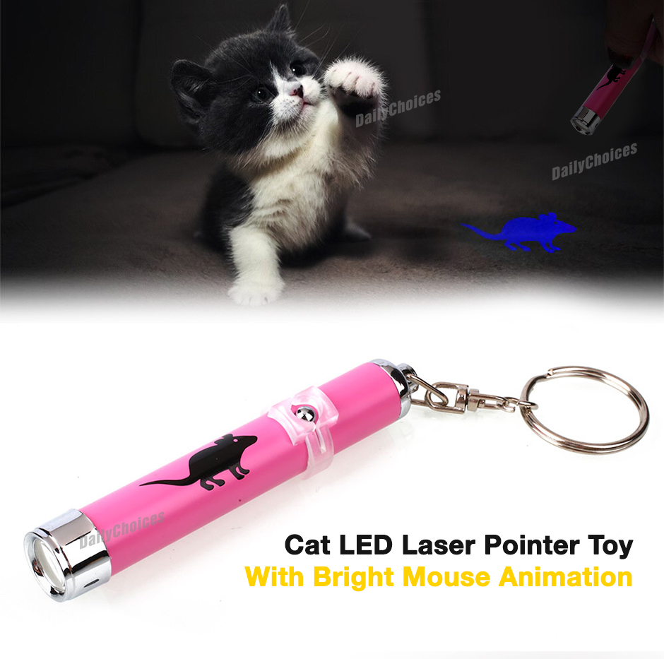 cesar millan laser pointer