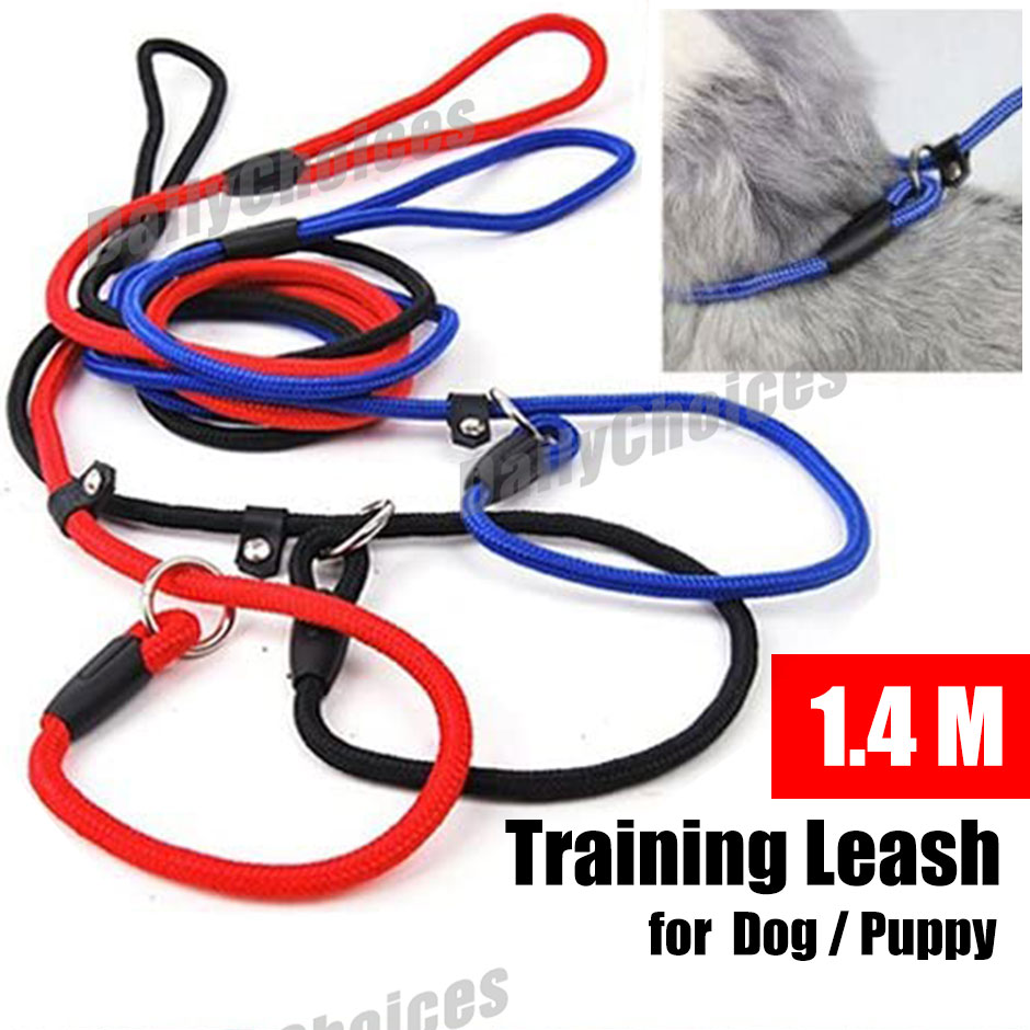 Cesar Millan Dog Puppy Training Correction Leash Slip Lead Pets Nylon