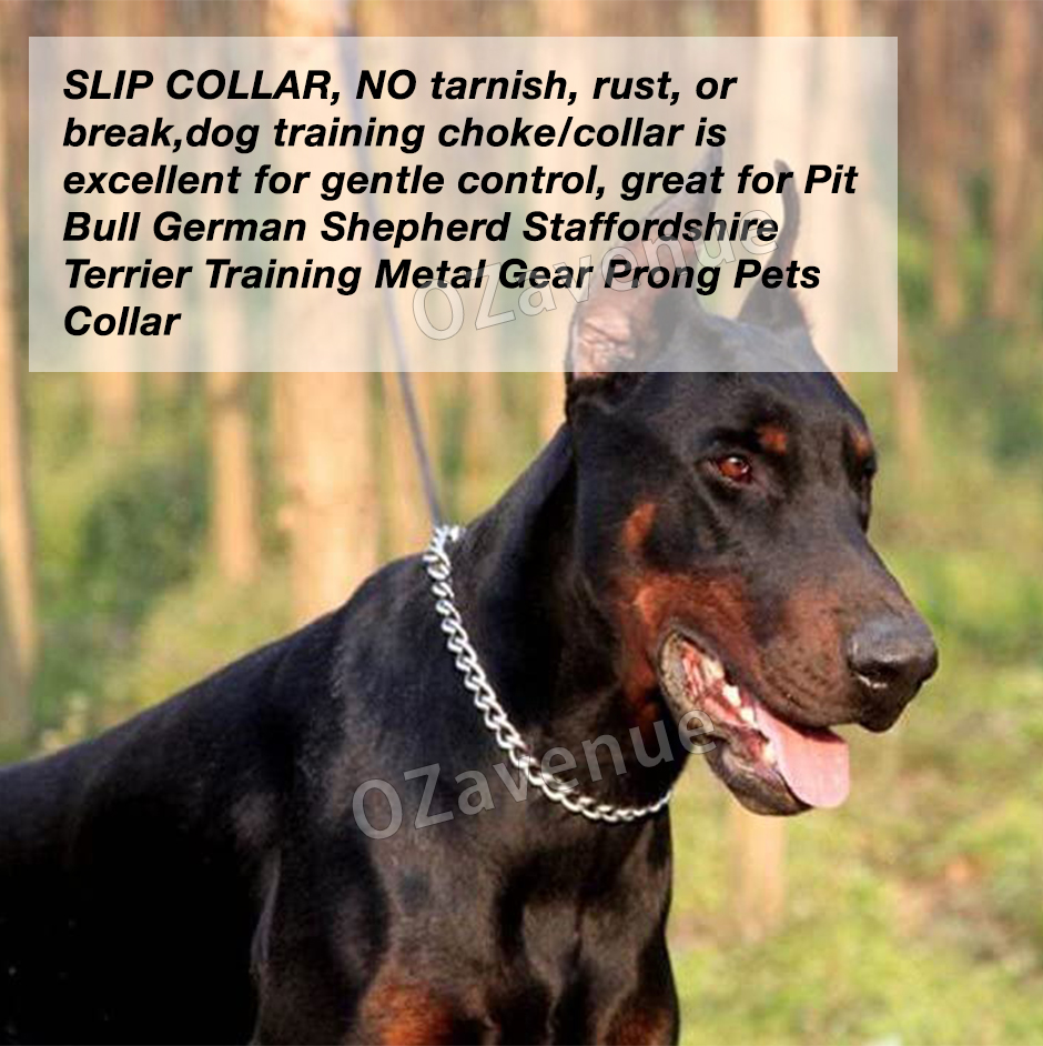 Sgoda Chain Dog Training Choke Collar Sus304 20in Bar SGODA